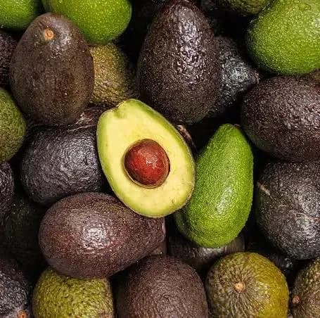 Avacado